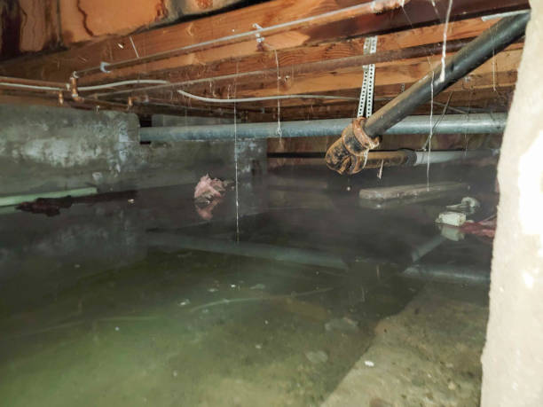 Best Emergency water damage restoration  in Santa Fe Springs, CA