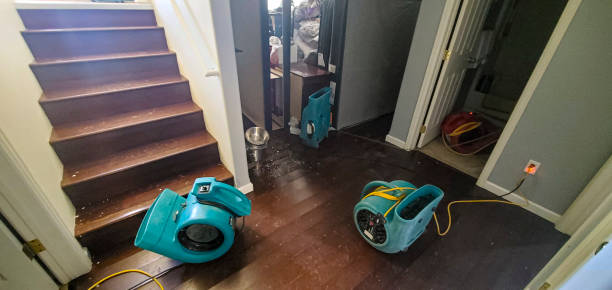 Best Flooded house restoration  in Santa Fe Springs, CA