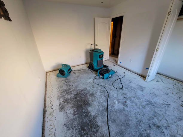 Best Commercial water damage restoration  in Santa Fe Springs, CA