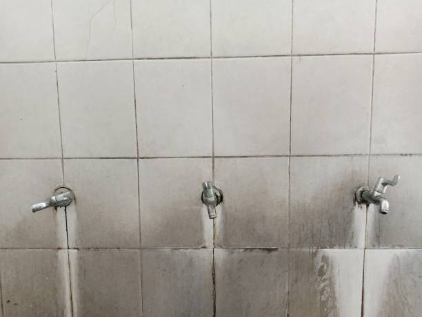 Best Water damage contractors near me  in Santa Fe Springs, CA