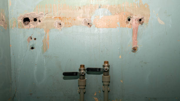 Best Local water damage restoration  in Santa Fe Springs, CA