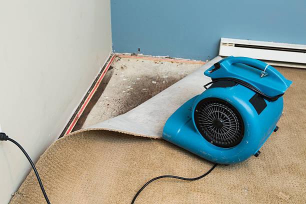 Best Flood damage cleanup  in Santa Fe Springs, CA